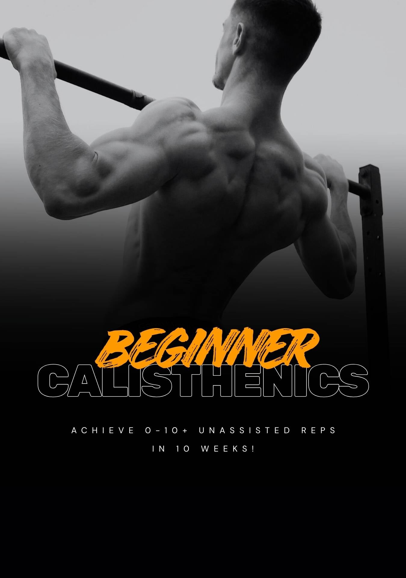 Beginner Calisthenics Workout Programme